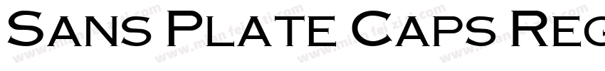 Sans Plate Caps Regu字体转换